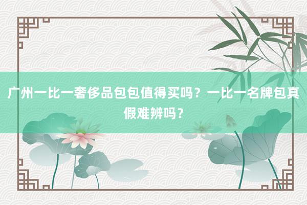 广州一比一奢侈品包包值得买吗？一比一名牌包真假难辨吗？