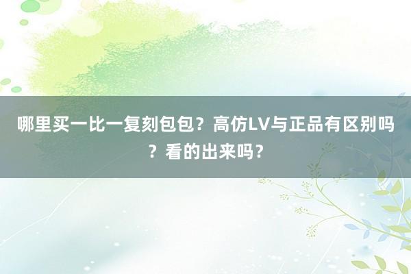 哪里买一比一复刻包包？高仿LV与正品有区别吗？看的出来吗？