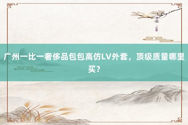 广州一比一奢侈品包包高仿LV外套，顶级质量哪里买？