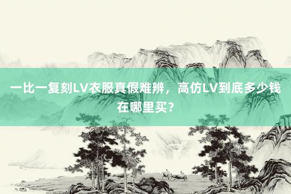 一比一复刻LV衣服真假难辨，高仿LV到底多少钱在哪里买？