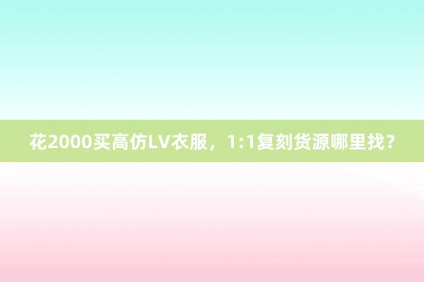 花2000买高仿LV衣服，1:1复刻货源哪里找？