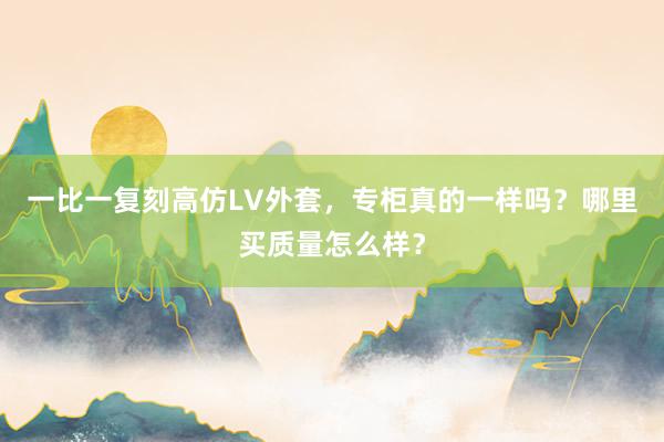 一比一复刻高仿LV外套，专柜真的一样吗？哪里买质量怎么样？