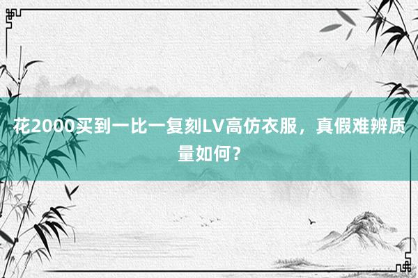 花2000买到一比一复刻LV高仿衣服，真假难辨质量如何？