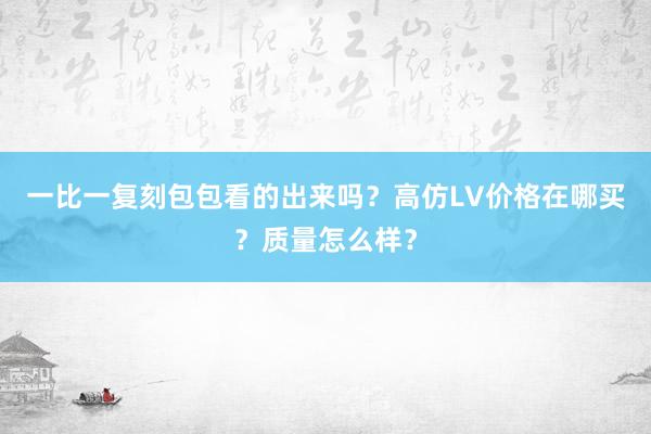 一比一复刻包包看的出来吗？高仿LV价格在哪买？质量怎么样？