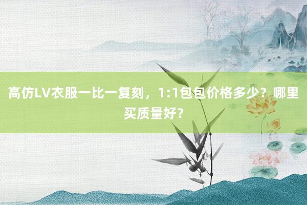 高仿LV衣服一比一复刻，1:1包包价格多少？哪里买质量好？