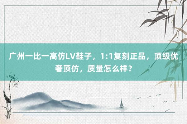 广州一比一高仿LV鞋子，1:1复刻正品，顶级优奢顶仿，质量怎么样？