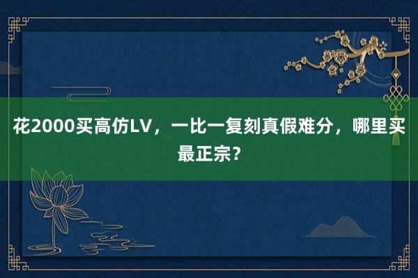花2000买高仿LV，一比一复刻真假难分，哪里买最正宗？