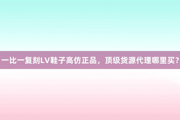 一比一复刻LV鞋子高仿正品，顶级货源代理哪里买？
