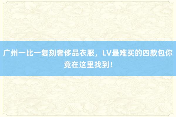 广州一比一复刻奢侈品衣服，LV最难买的四款包你竟在这里找到！
