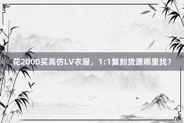 花2000买高仿LV衣服，1:1复刻货源哪里找？