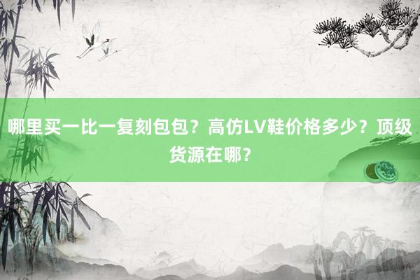 哪里买一比一复刻包包？高仿LV鞋价格多少？顶级货源在哪？