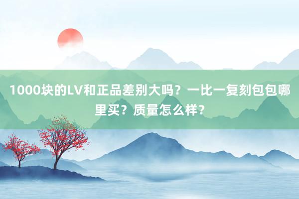 1000块的LV和正品差别大吗？一比一复刻包包哪里买？质量怎么样？