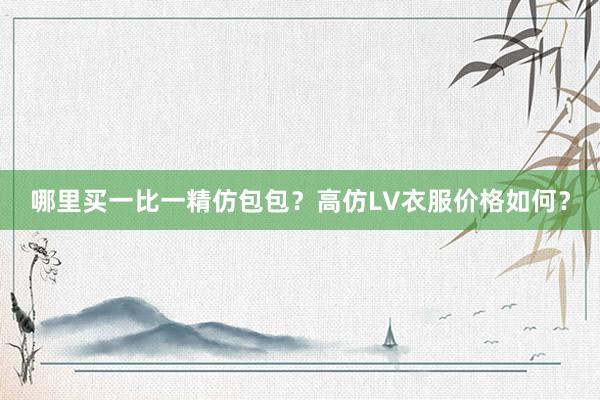 哪里买一比一精仿包包？高仿LV衣服价格如何？