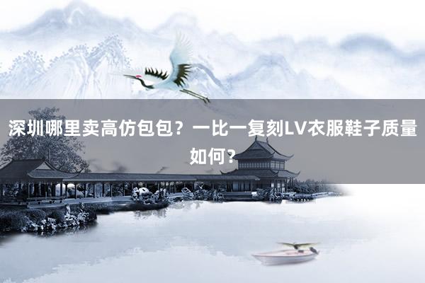深圳哪里卖高仿包包？一比一复刻LV衣服鞋子质量如何？